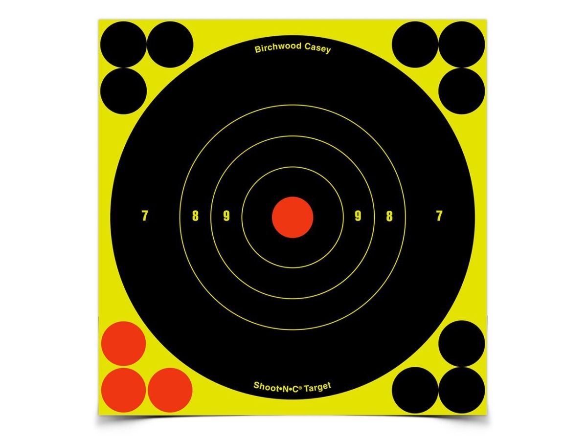 Birchwood Casey Shoot N C 6" Targets