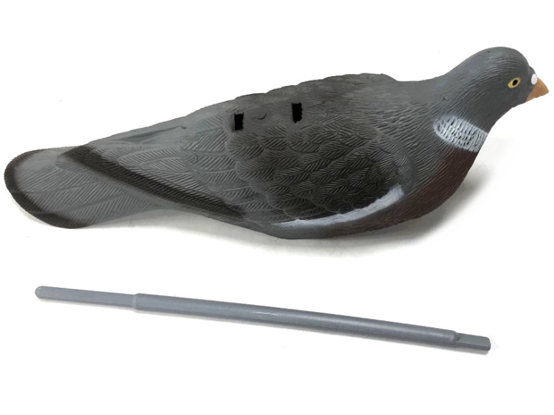 shell pigeon decoys