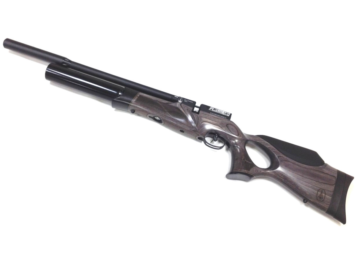 bsa r12 clx pro .22 airgun