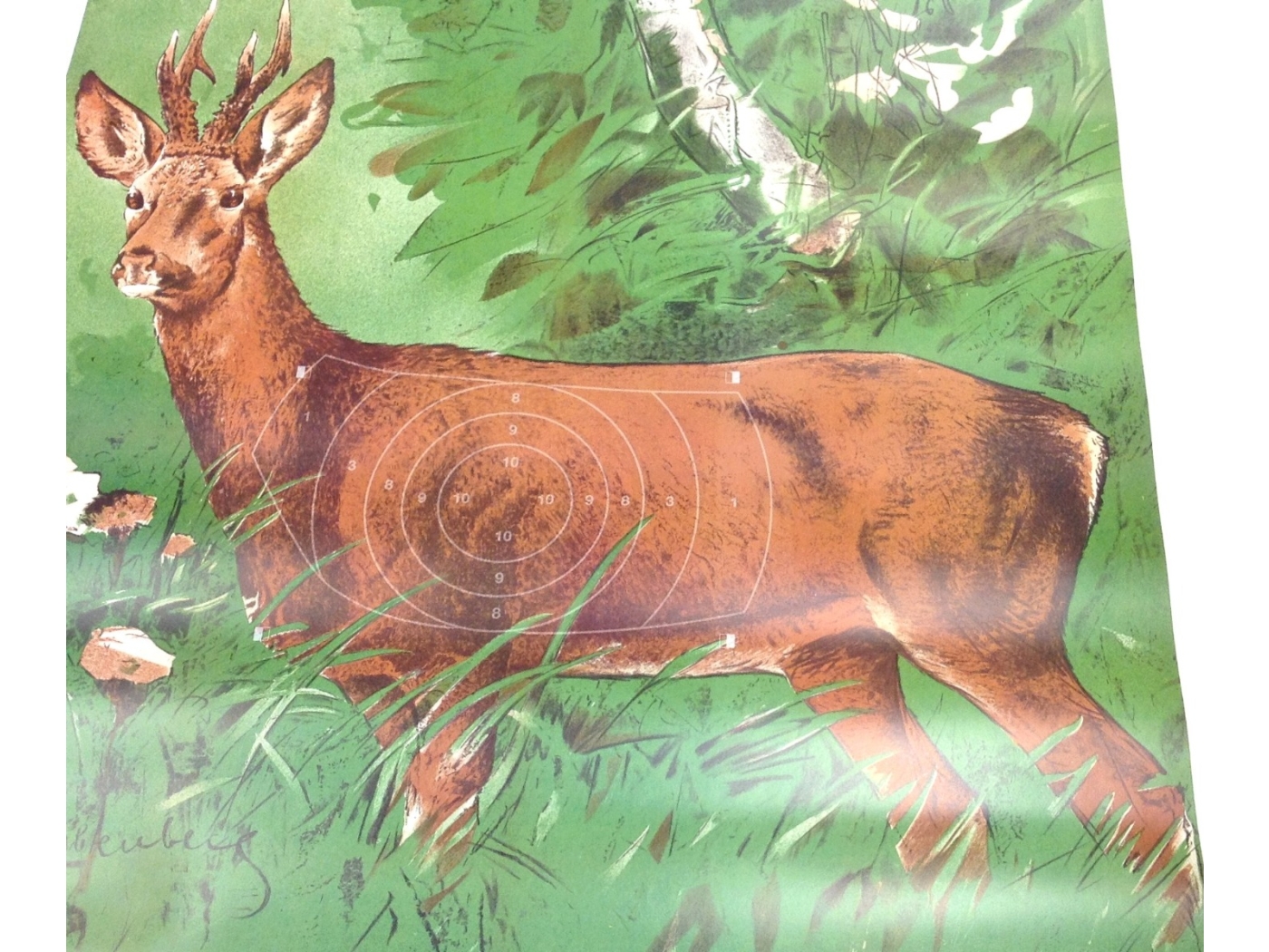 Paper Roe Buck Shooting Target