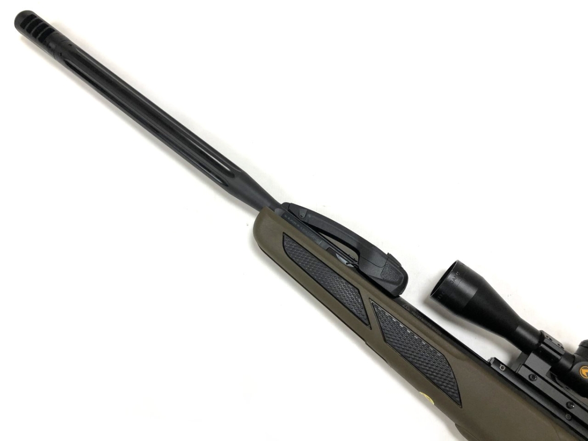 gamo varmint swarm multishot .22 air rifle