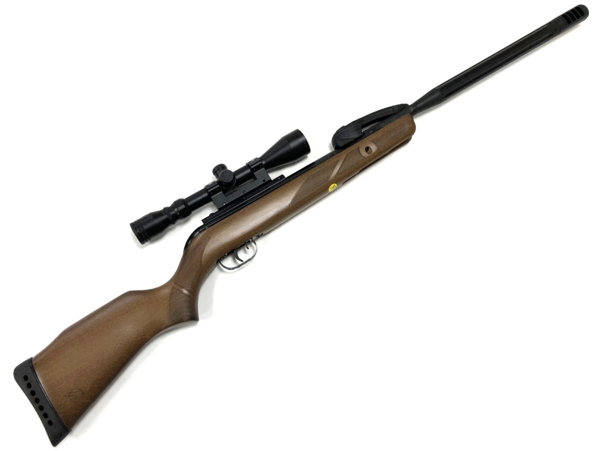 gamo varmint swarm g1 air rifle .22