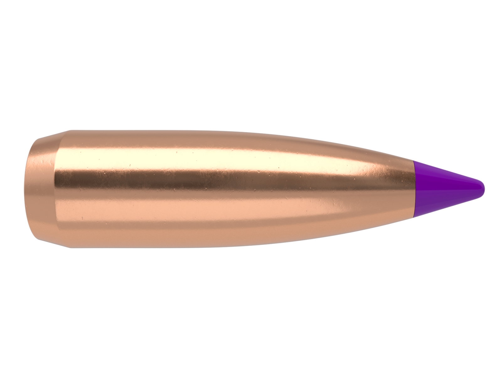 Nosler 6mm 70gr Ballistic Tip Bullets