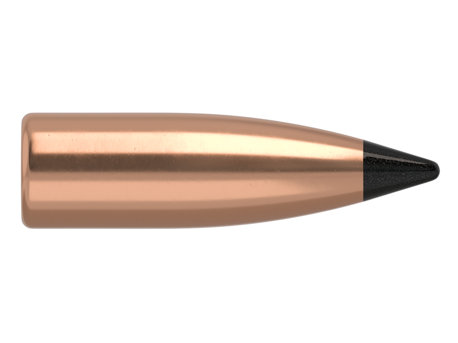 nosler varmageddon .22 ballistic tip bullets