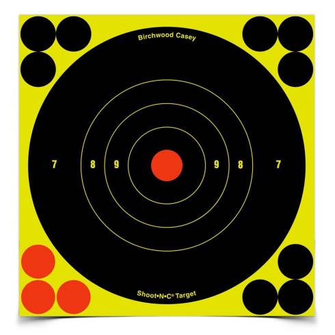 Birchwood Casey Shoot N C 6" Targets