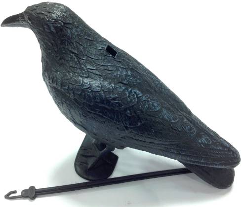 Plastic Crow Decoy With Legs&Stick