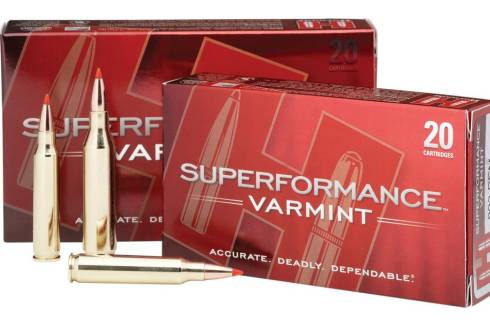 Hornady .243 58gr Superformance Varmint V-Max Ammunition 8343