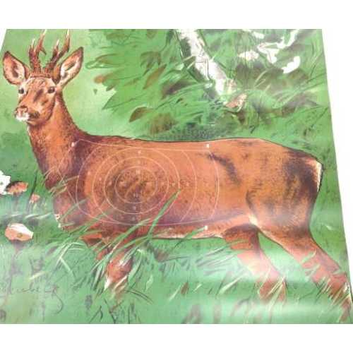 Paper Roe Buck Shooting Target